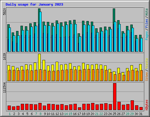 Daily usage for January 2023