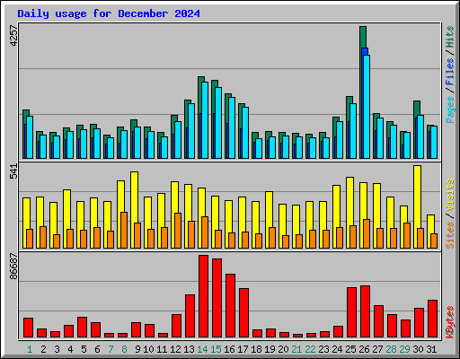Daily usage for December 2024