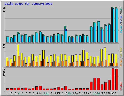Daily usage for January 2025