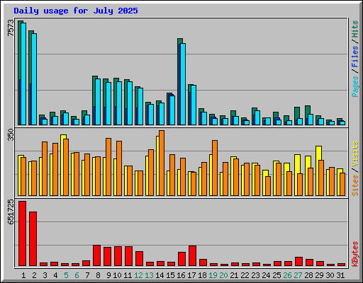 Daily usage for July 2025