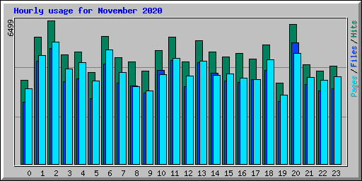 Hourly usage for November 2020