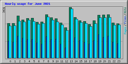 Hourly usage for June 2021