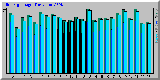 Hourly usage for June 2023