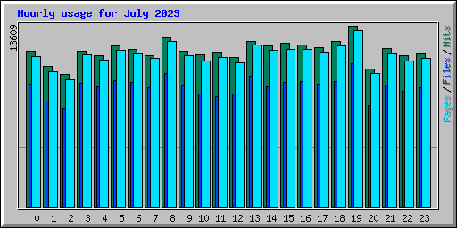 Hourly usage for July 2023