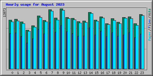 Hourly usage for August 2023