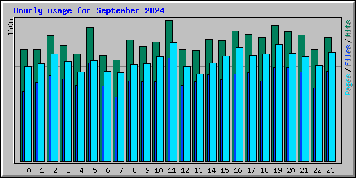 Hourly usage for September 2024