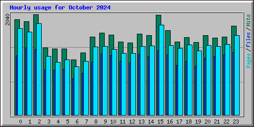 Hourly usage for October 2024