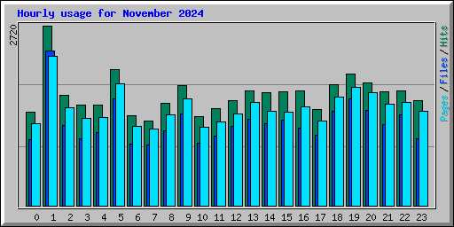 Hourly usage for November 2024