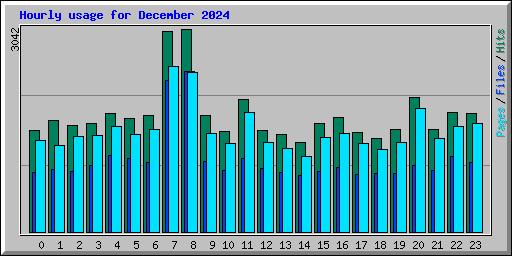 Hourly usage for December 2024