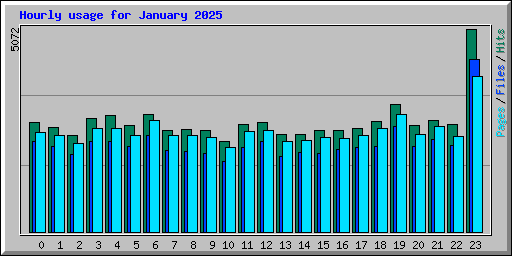 Hourly usage for January 2025
