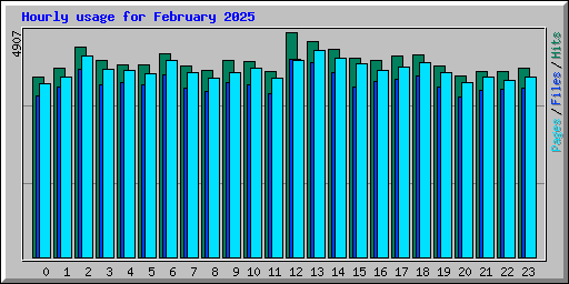 Hourly usage for February 2025
