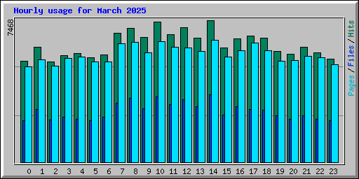 Hourly usage for March 2025