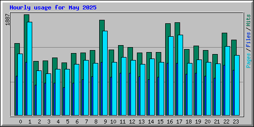 Hourly usage for May 2025