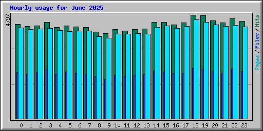 Hourly usage for June 2025