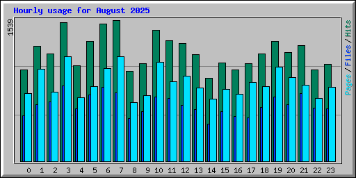 Hourly usage for August 2025