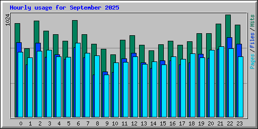 Hourly usage for September 2025
