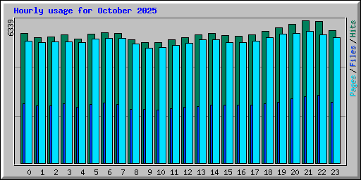 Hourly usage for October 2025