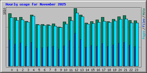 Hourly usage for November 2025