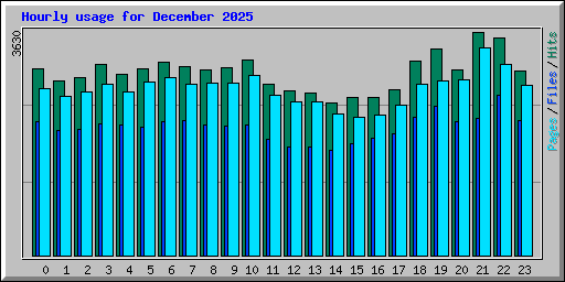 Hourly usage for December 2025
