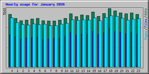Hourly usage for January 2026